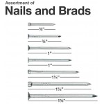 Qualihome Hardware Nail Assortment Kit, Includes Finish, Wire, Common, Brad and Picture Hanging Nails Qualihome Hardware Nail Assortment Kit, Includes Finish, Wire, Common, Brad and Picture Hanging Nails