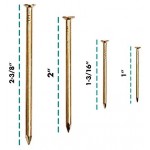 HangDone Nails Assortment 250-Pieces 4 Sizes, Brass Plated