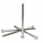 1/2 x 5-1/2" Hex Head Lag Bolt Screws 18-8 (304) Stainless Steel, Qty 10 by Bridge Fasteners